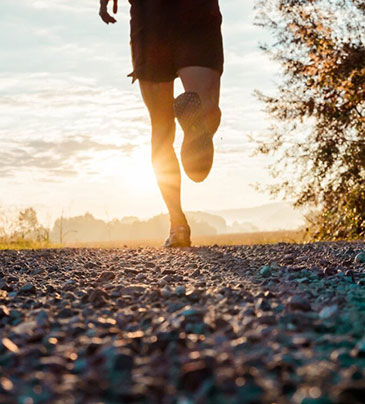 尊龙凯时·(中国)网站-AG旗舰厅