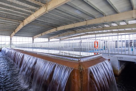 怎么保养多职能微型过滤机？